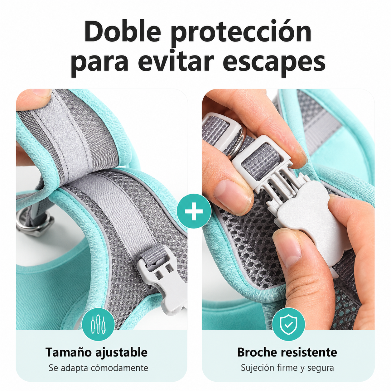 Conjunto de Arnés + Correa