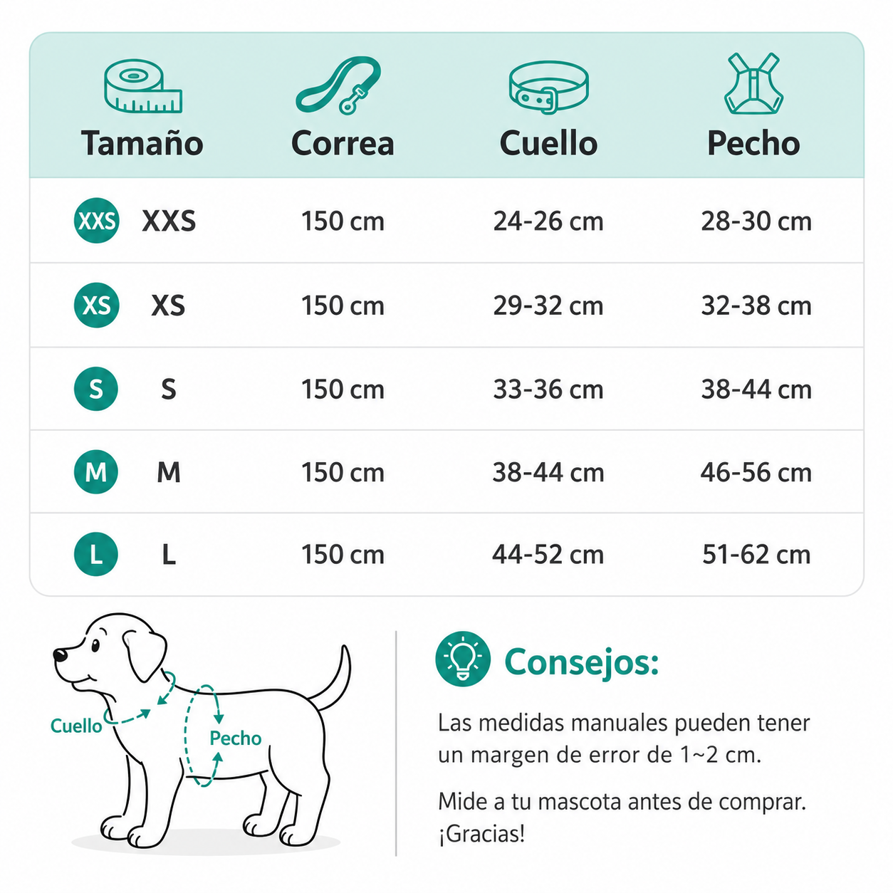 Conjunto de Arnés + Correa