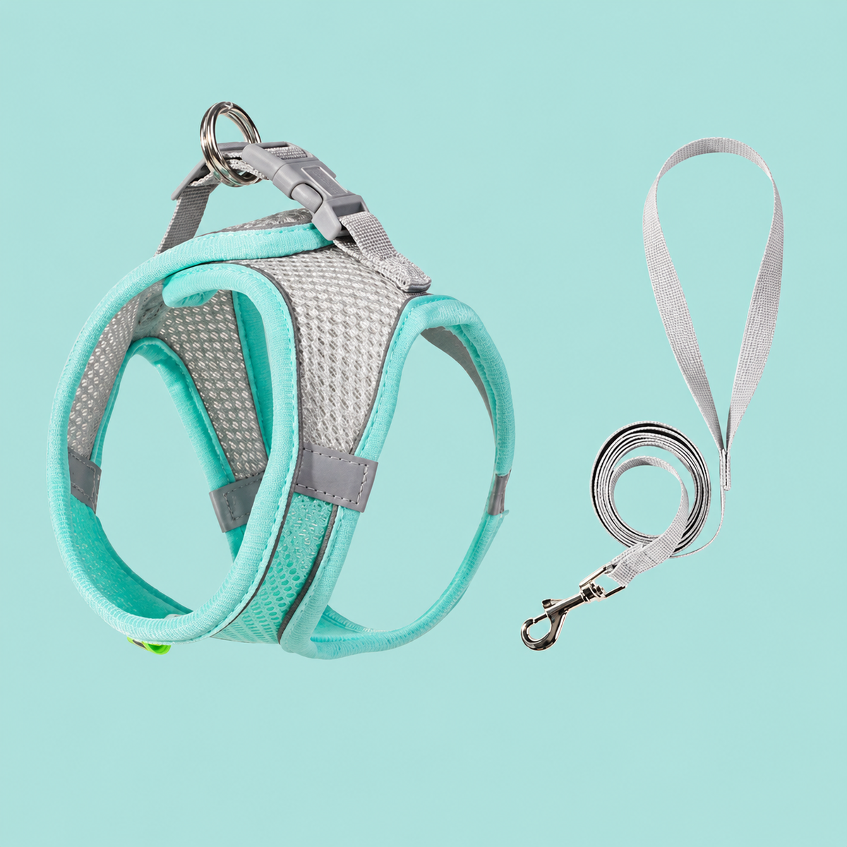 Conjunto de Arnés + Correa