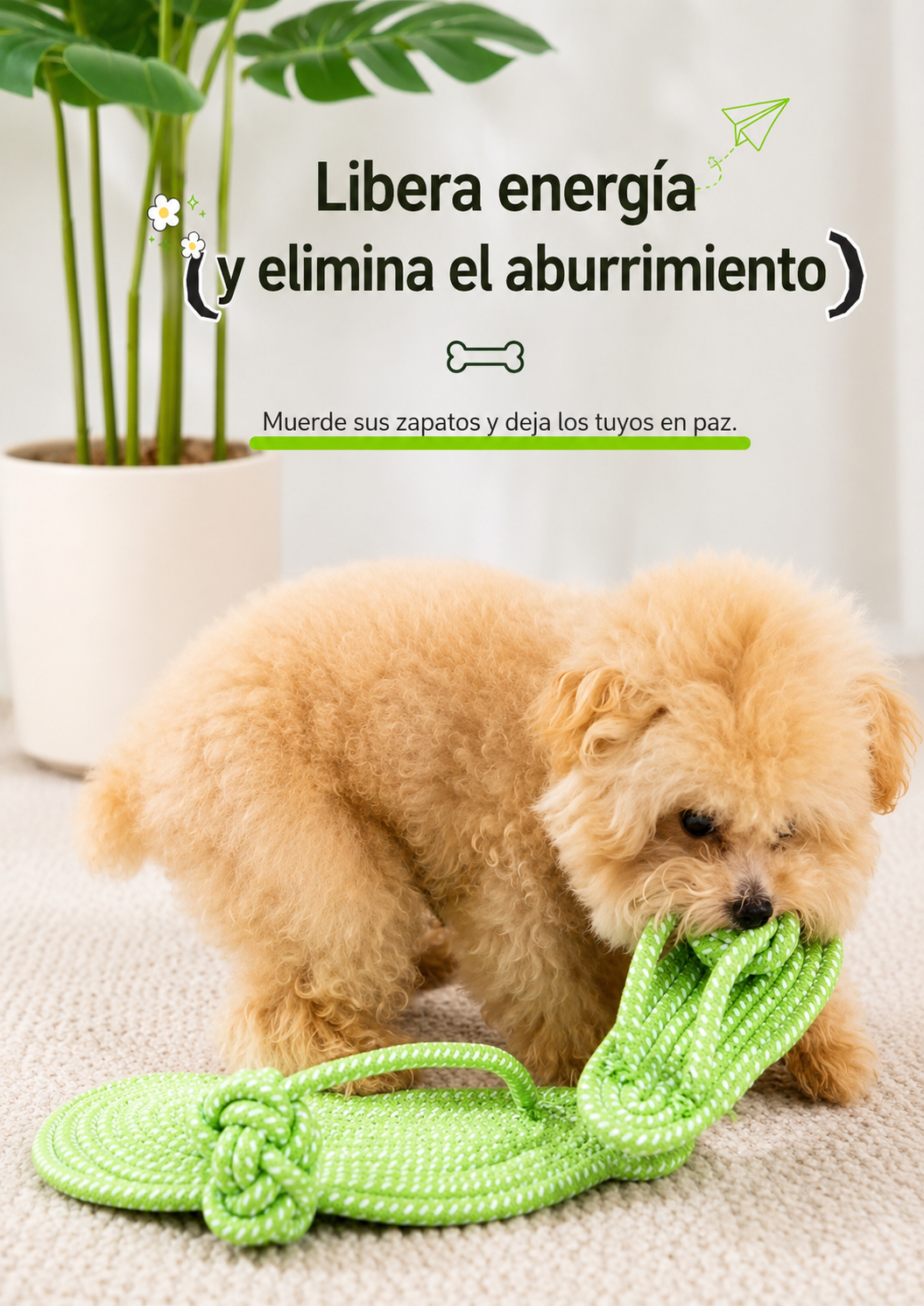 Juguete Masticable de Cuerda
