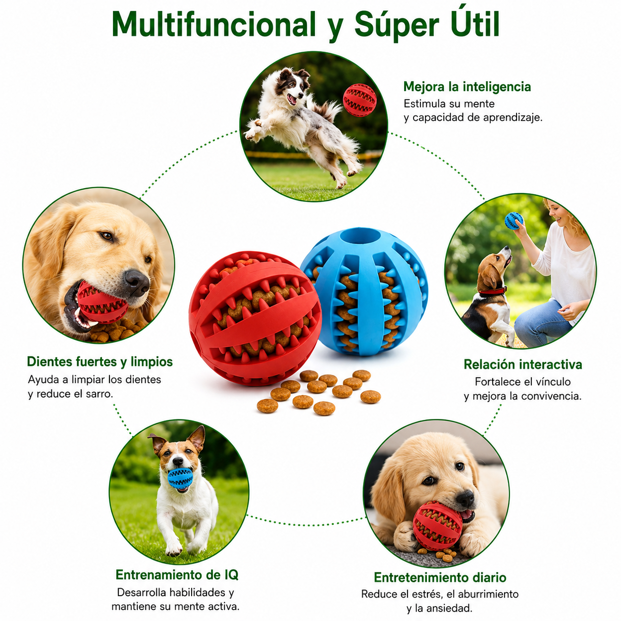Pelota Interactiva 3 en 1