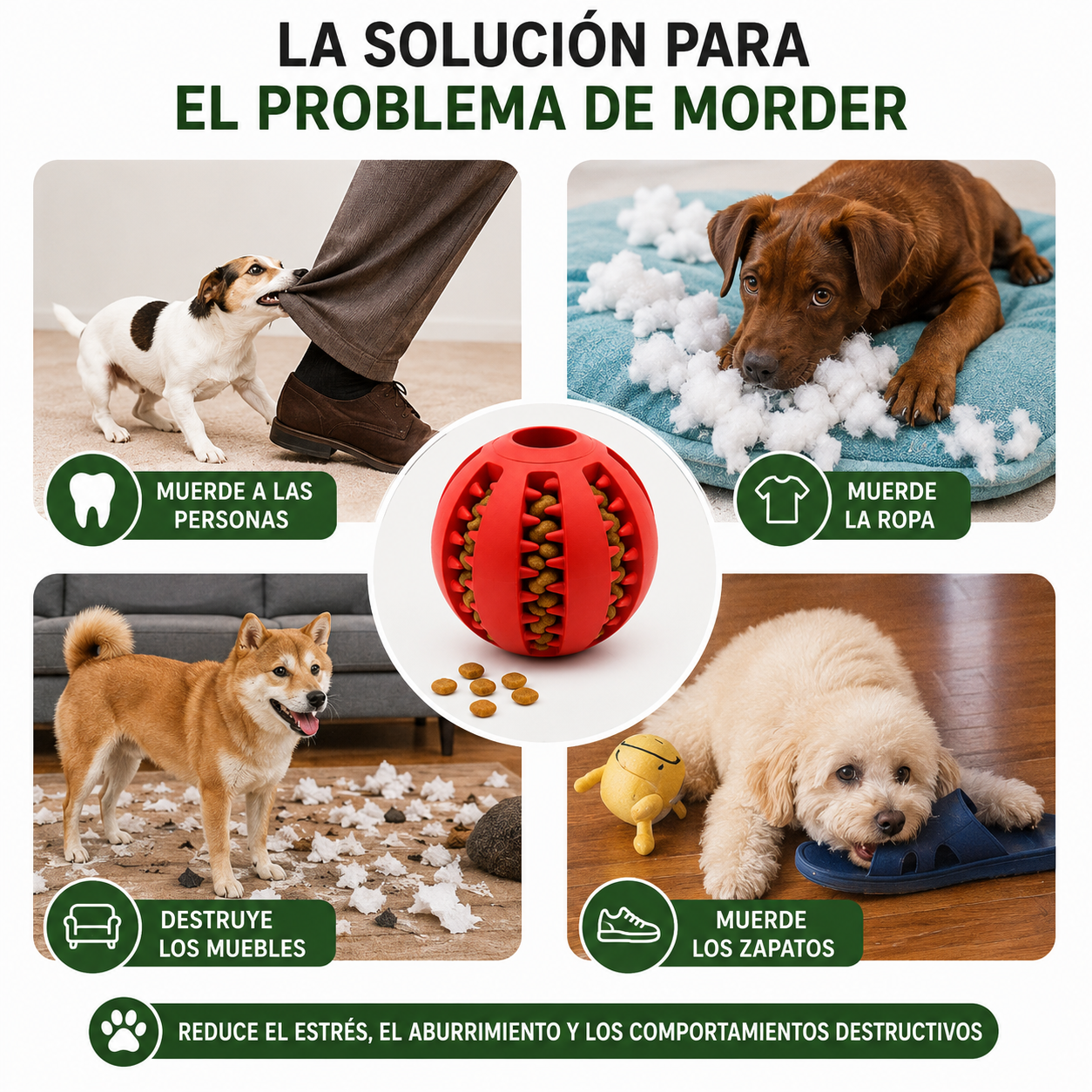 Pelota Interactiva 3 en 1