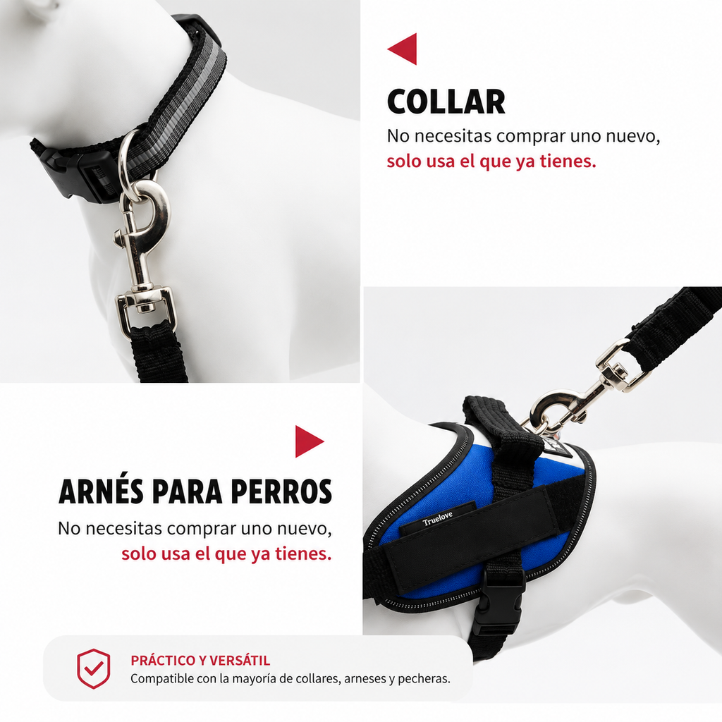 Correa para Auto con Clip de Seguridad