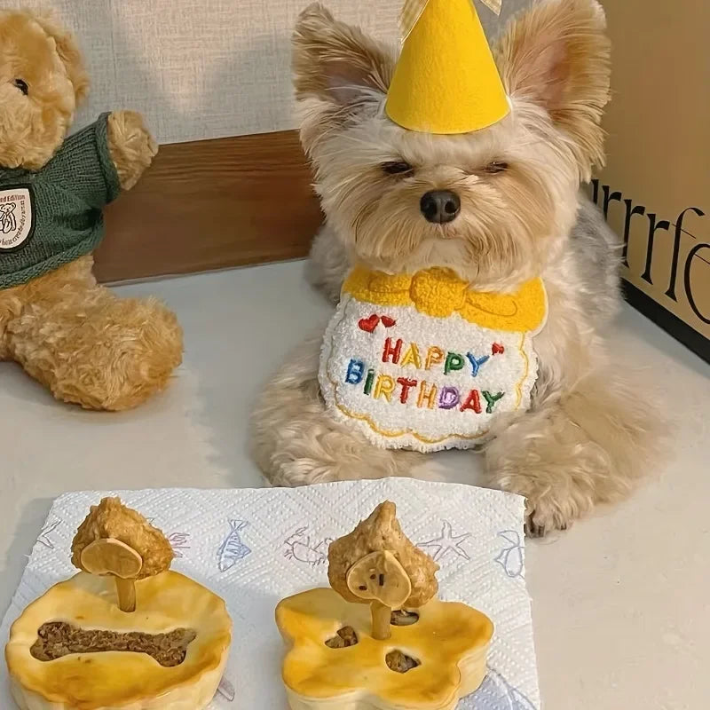 Conjunto pañuelo + sombrero de cumpleaños