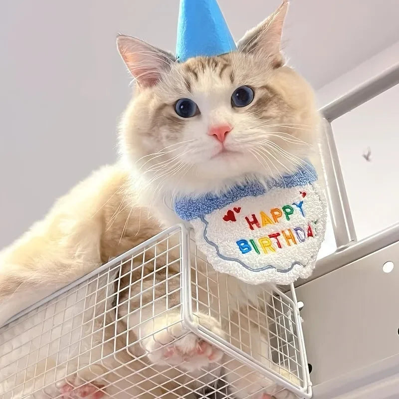 Conjunto pañuelo + sombrero de cumpleaños